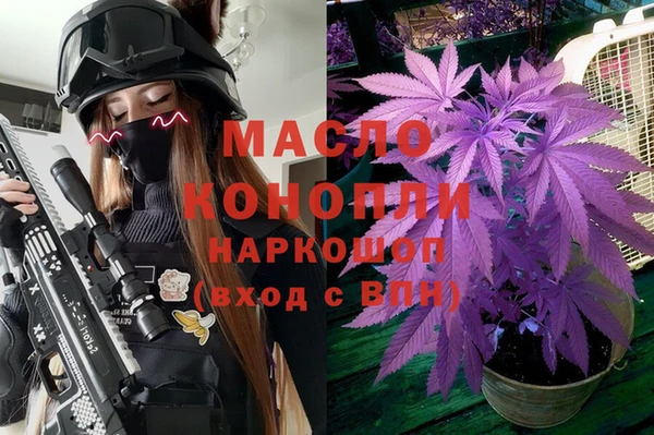дмт Алексеевка