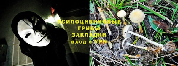 гидропоника Алзамай