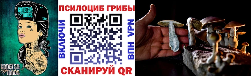 где найти   Урюпинск  Галлюциногенные грибы мухоморы 