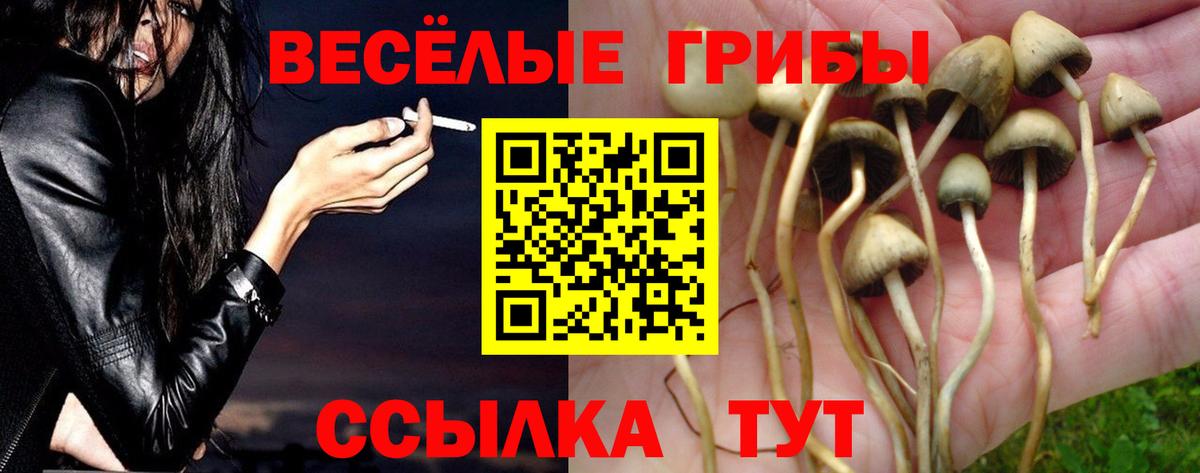 Галлюциногенные грибы MAGIC MUSHROOMS Урюпинск