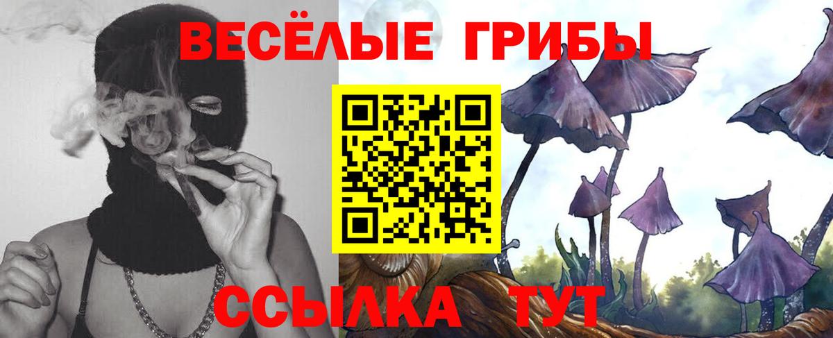 Галлюциногенные грибы Psilocybe  Вход с VPN  Урюпинск 